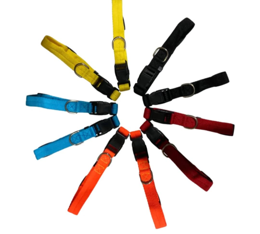 Puppy ID Collars
