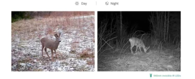 Hikmicro M15 4G Game Trail Camera