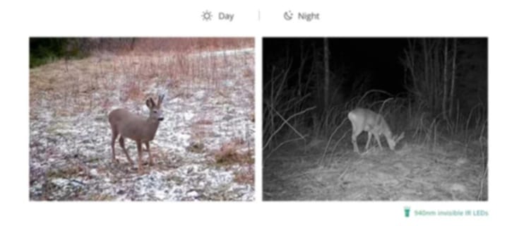 Hikmicro M15 4G Game Trail Camera