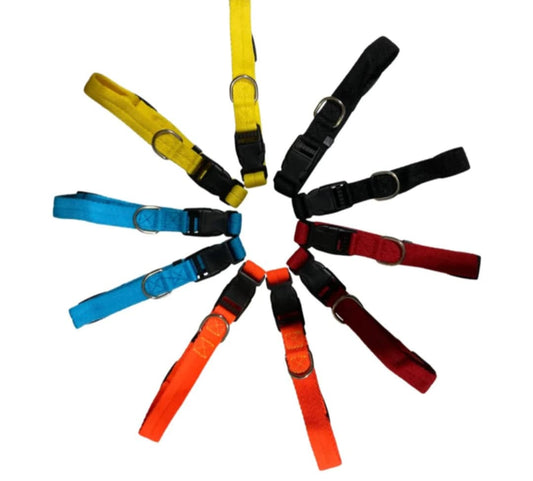 Puppy ID Collars
