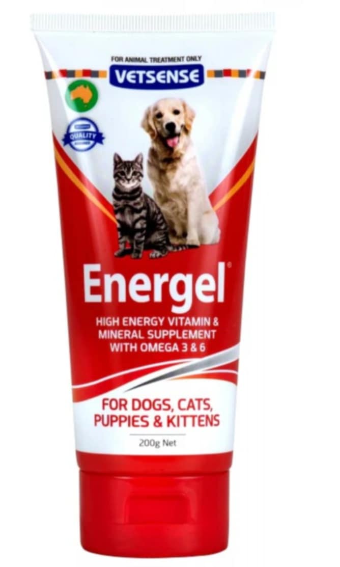 Energel Paste 200g