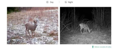 Hikmicro M15 4G Game Trail Camera